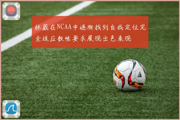 林葳在NCAA中逐渐找到自我定位完全适应教练要求展现出色表现